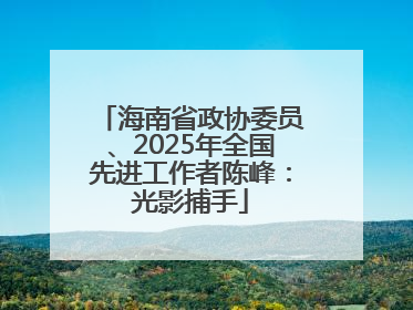 海南省政协委员、2025年全国先进工作者陈峰：光影捕手