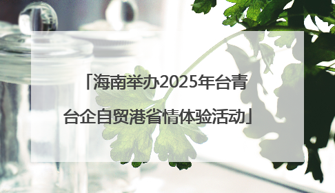 海南举办2025年台青台企自贸港省情体验活动