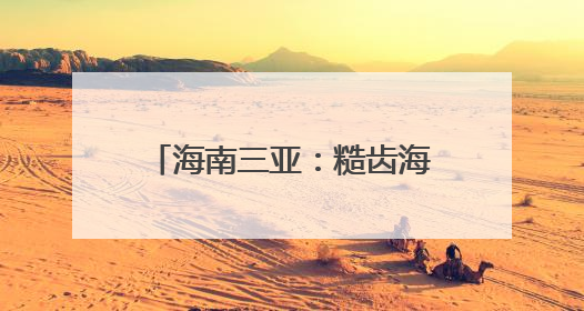 海南三亚：糙齿海豚被成功放归大海