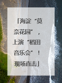 海淀“莫奈花园”，上演“稻田音乐会”！现场直击