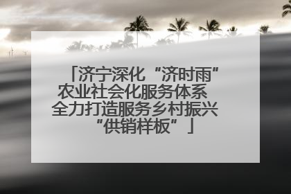 济宁深化“济时雨”农业社会化服务体系 全力打造服务乡村振兴“供销样板”