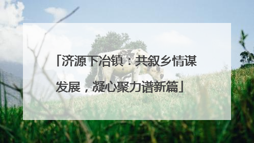 济源下冶镇：共叙乡情谋发展，凝心聚力谱新篇