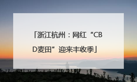 浙江杭州：网红“CBD麦田”迎来丰收季