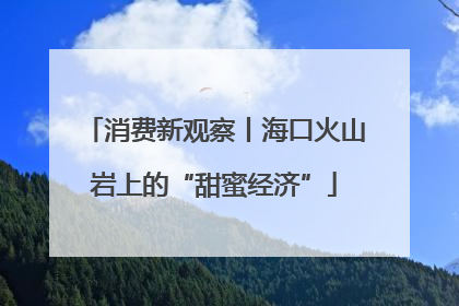 消费新观察丨海口火山岩上的“甜蜜经济”