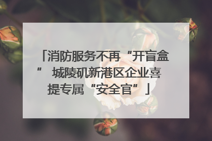 消防服务不再“开盲盒” 城陵矶新港区企业喜提专属“安全官”