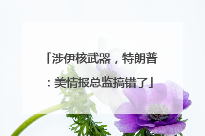 涉伊核武器，特朗普：美情报总监搞错了