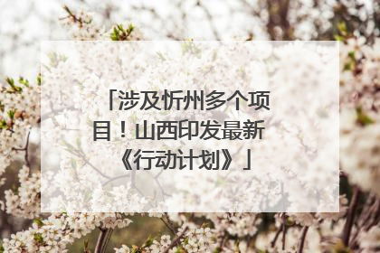 涉及忻州多个项目！山西印发最新《行动计划》