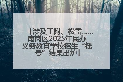 涉及工附、松雷……南岗区2025年民办义务教育学校招生“摇号”结果出炉