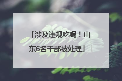 涉及违规吃喝！山东6名干部被处理