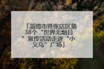 淄博市暨张店区第38个“世界无烟日”宣传活动走进“小义乌”广场