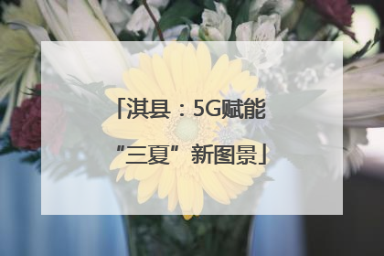 淇县：5G赋能“三夏”新图景