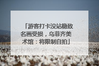 游客打卡没站稳致名画受损，乌菲齐美术馆：将限制自拍