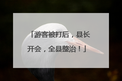 游客被打后，县长开会，全县整治！