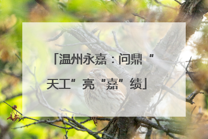 温州永嘉：问鼎“天工”亮“嘉”绩