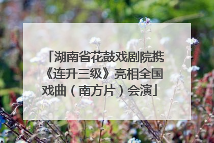 湖南省花鼓戏剧院携《连升三级》亮相全国戏曲（南方片）会演