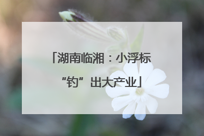 湖南临湘：小浮标“钓”出大产业