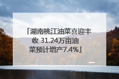 湖南桃江油菜喜迎丰收 31.24万亩油菜预计增产7.4%