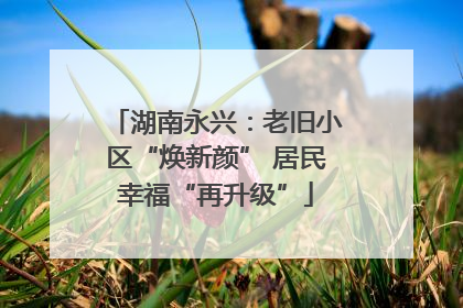湖南永兴：老旧小区“焕新颜” 居民幸福“再升级”