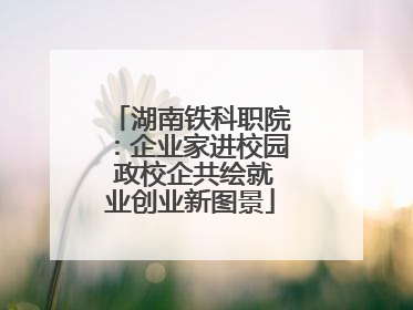 湖南铁科职院：企业家进校园 政校企共绘就业创业新图景