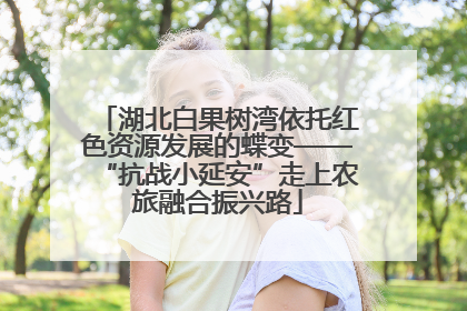 湖北白果树湾依托红色资源发展的蝶变——“抗战小延安”走上农旅融合振兴路