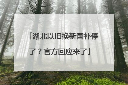 湖北以旧换新国补停了？官方回应来了