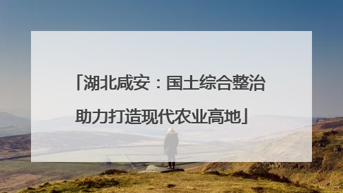 湖北咸安：国土综合整治助力打造现代农业高地