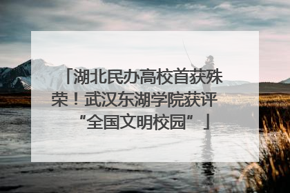 湖北民办高校首获殊荣！武汉东湖学院获评“全国文明校园”