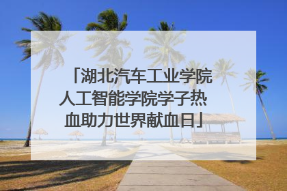 湖北汽车工业学院人工智能学院学子热血助力世界献血日
