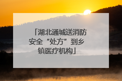 湖北通城送消防安全“处方”到乡镇医疗机构