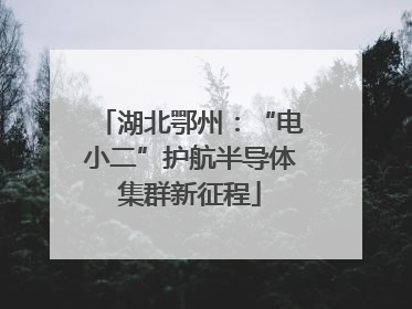 湖北鄂州：“电小二”护航半导体集群新征程