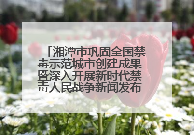 湘潭市巩固全国禁毒示范城市创建成果暨深入开展新时代禁毒人民战争新闻发布会答记者问摘录