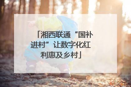 湘西联通“国补进村”让数字化红利惠及乡村