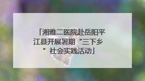 湘雅二医院赴岳阳平江县开展暑期“三下乡”社会实践活动