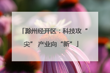 滁州经开区：科技攻“尖” 产业向“新”