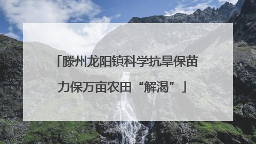 滕州龙阳镇科学抗旱保苗 力保万亩农田“解渴”