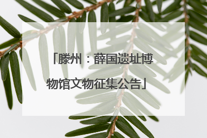 滕州：薛国遗址博物馆文物征集公告