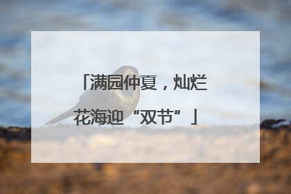 满园仲夏，灿烂花海迎“双节”