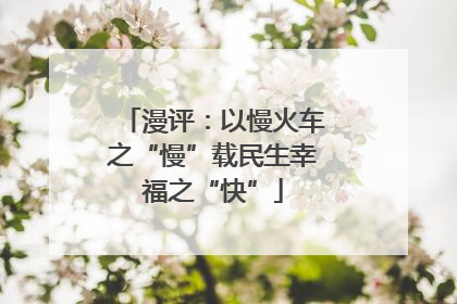 漫评：以慢火车之“慢”载民生幸福之“快”