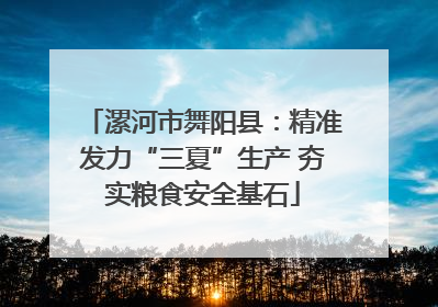 漯河市舞阳县：精准发力“三夏”生产 夯实粮食安全基石
