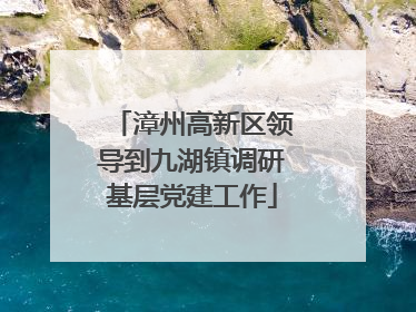 漳州高新区领导到九湖镇调研基层党建工作