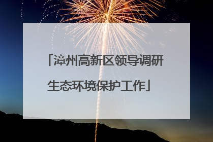 漳州高新区领导调研生态环境保护工作