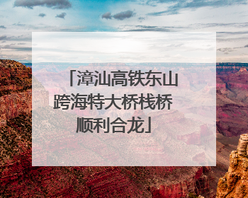 漳汕高铁东山跨海特大桥栈桥顺利合龙