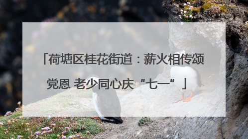 荷塘区桂花街道：薪火相传颂党恩 老少同心庆“七一”