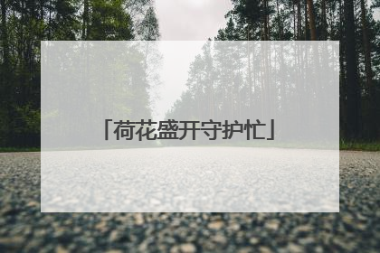 荷花盛开守护忙