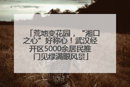 荒地变花园，“湘口之心”好称心！武汉经开区5000余居民推门见绿满眼风景