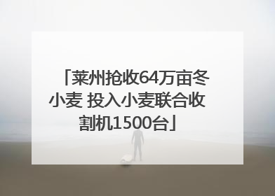 莱州抢收64万亩冬小麦 投入小麦联合收割机1500台
