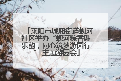 莱阳市城厢街道蚬河社区举办“蚬河粽香融乐韵，同心筑梦游园行” 主题游园会