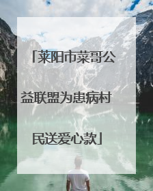 莱阳市菜哥公益联盟为患病村民送爱心款