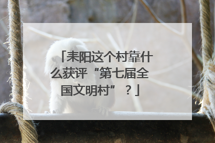 耒阳这个村靠什么获评“第七届全国文明村”？