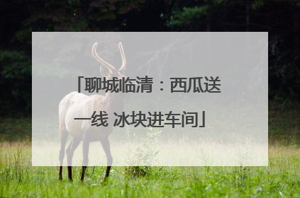 聊城临清：西瓜送一线 冰块进车间